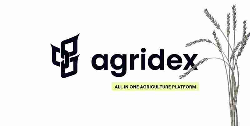 什么是AgriDex？团队、成就、代币经济学和代币分配介绍